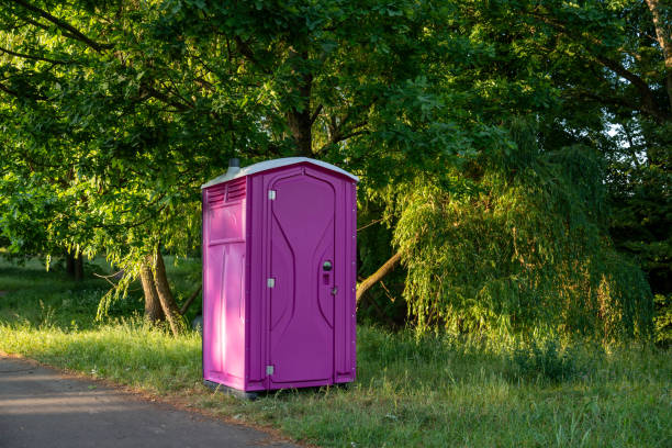 Best Sanitation services for porta potties  in Stratmoor, CO